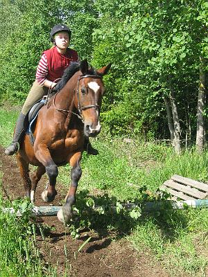 LEIRI 3.2008 109.jpg - Maastoesteell� Laura S. ja Rico